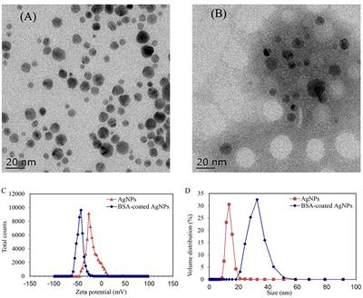 Alleviation of bovine serum albumin on the neurotoxicity of silver nanoparticles in zebrafish (Danio rerio) larvae